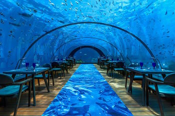 Luxury Fine dining